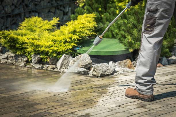 Best Spring Cleaning  in Noblesville, IN